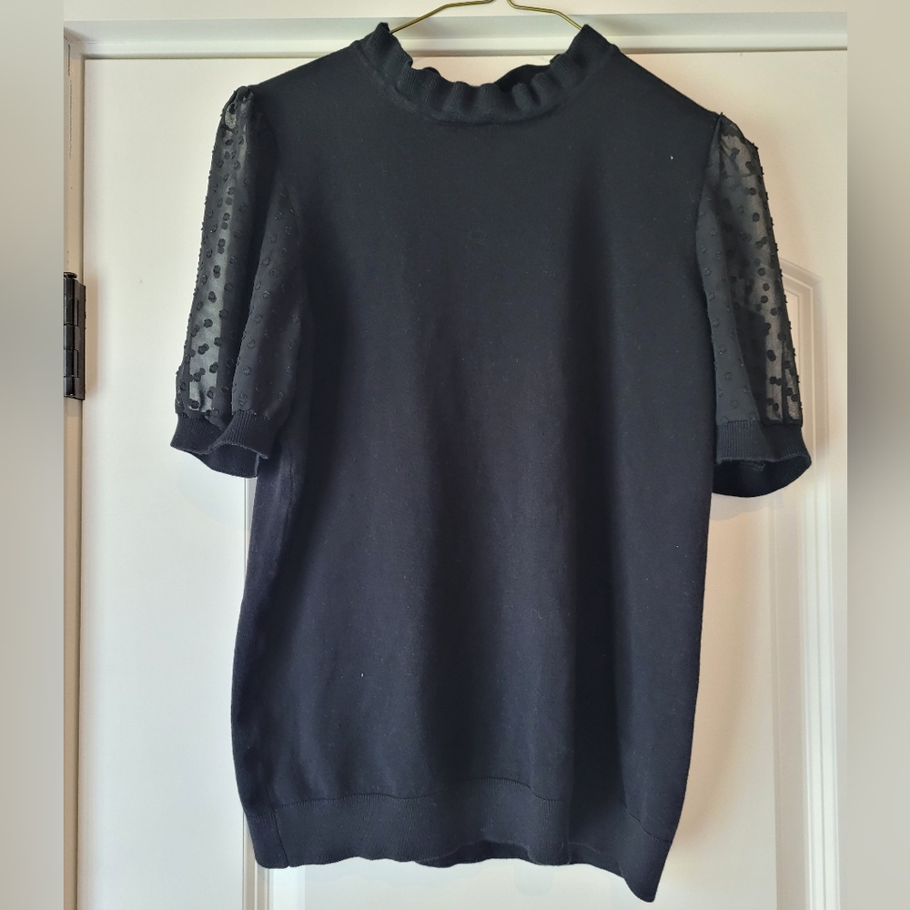 Sheer Sleeve Sweater